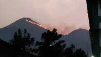 Gunung Penanggungan Terbakar Hebat! Apa yang Terjadi di Sana
